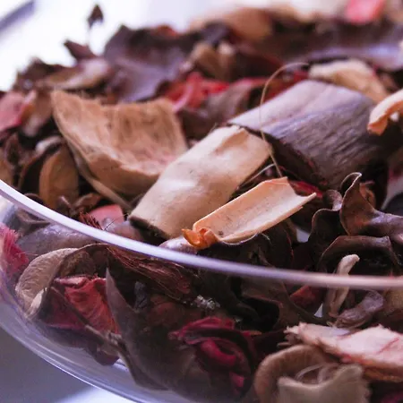 Senator 公寓式酒店 布达佩斯